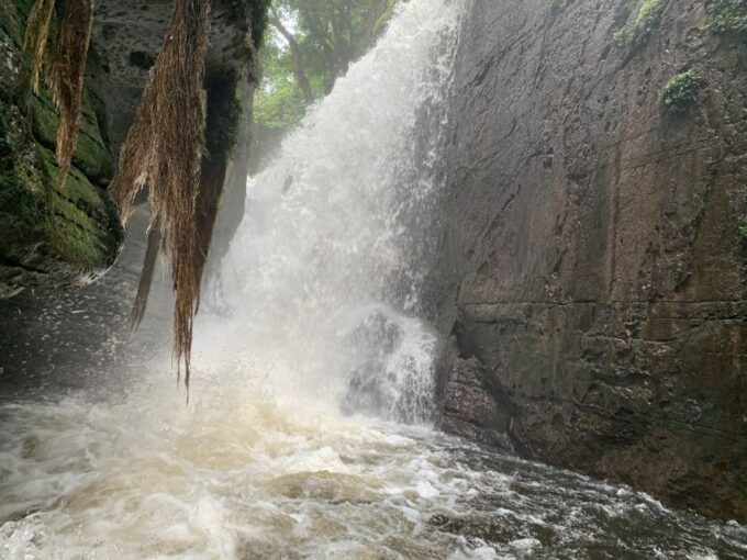 Manaus: President Figueiredo Caves and Waterfalls Tour - Frequently Asked Questions