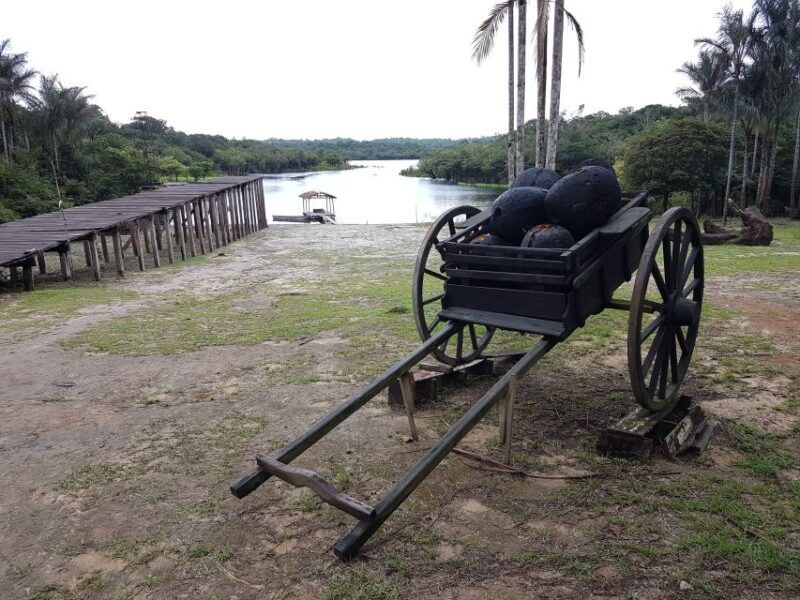 Manaus: Rubber Museum - Highlights of the Tour