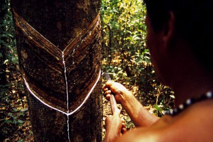 Manaus: Rubber Museum - Frequently Asked Questions