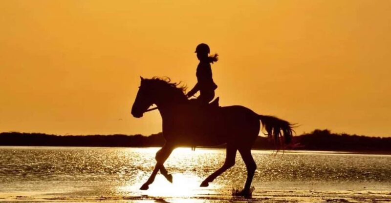 Manavgat Side: Horse Riding on the Beach and in the Forest - Pickup and Transportation