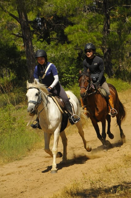 Manavgat Side: Horse Riding on the Beach and in the Forest - Trail Ride Experience