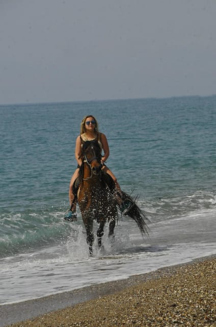 Manavgat Side: Horse Riding on the Beach and in the Forest - Suitability and Recommendations