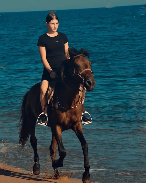 Manavgat Side: Horse Riding on the Beach and in the Forest - Frequently Asked Questions