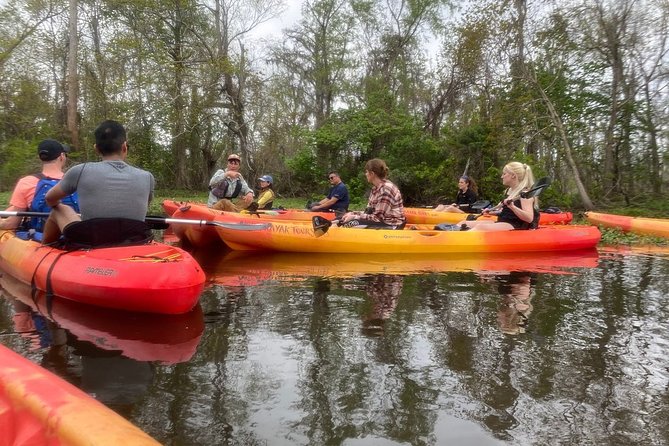 Manchac Swamp Kayak Small-Group Tour - Meeting and Pickup