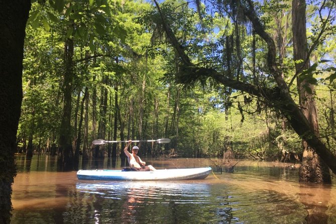 Manchac Swamp Kayak Small-Group Tour - Cancellation Policy