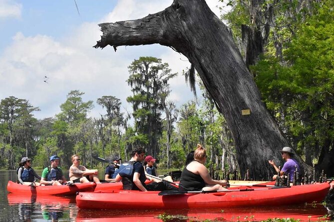 Manchac Swamp Kayak Tour for Experienced Kayakers With Pickup - Key Points