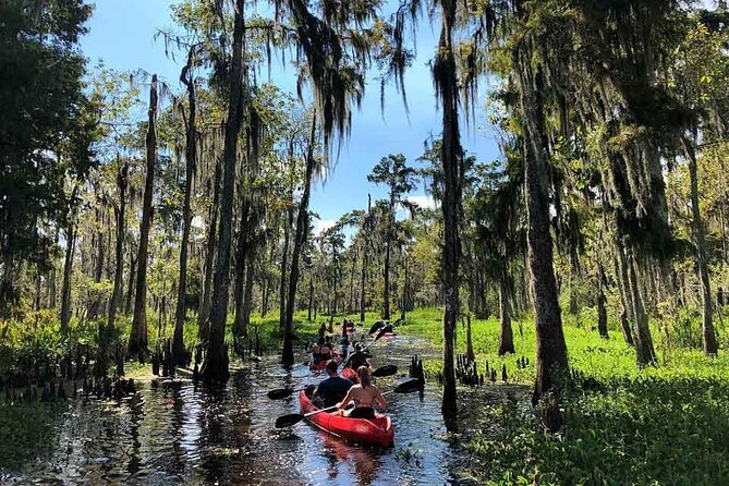 Manchac Swamp Kayak Tour for Experienced Kayakers With Pickup - Inclusions and Meeting Point