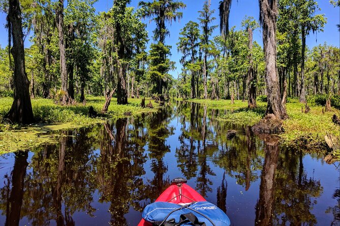 Manchac Swamp Kayak Tour for Experienced Kayakers With Pickup - Tour Logistics and Schedule