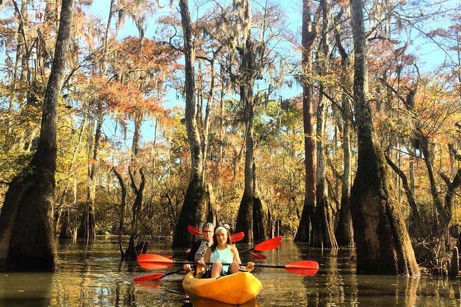 Manchac Swamp Kayak Tour for Experienced Kayakers With Pickup - Tour Logistics and Schedule