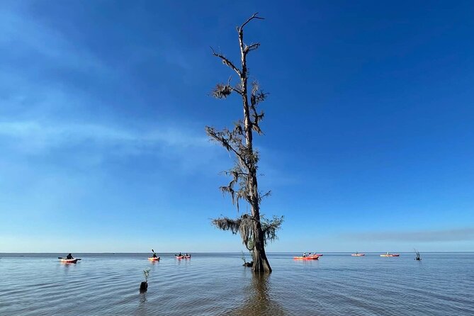 Manchac Swamp Kayak Tour for Experienced Kayakers With Pickup - Traveler Reviews and Highlights