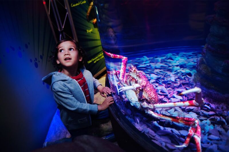 Manchester: SEA LIFE Entrance Ticket - Key Points