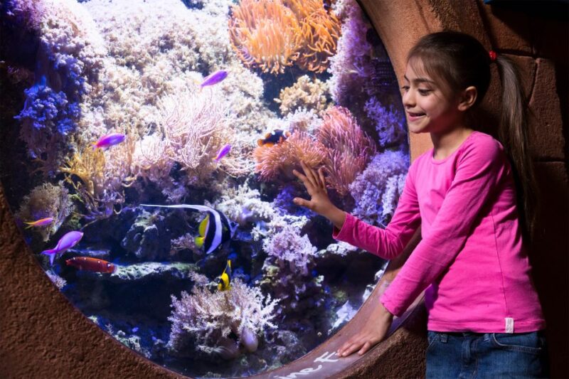 Manchester: SEA LIFE Entrance Ticket - Highlights of the Attraction