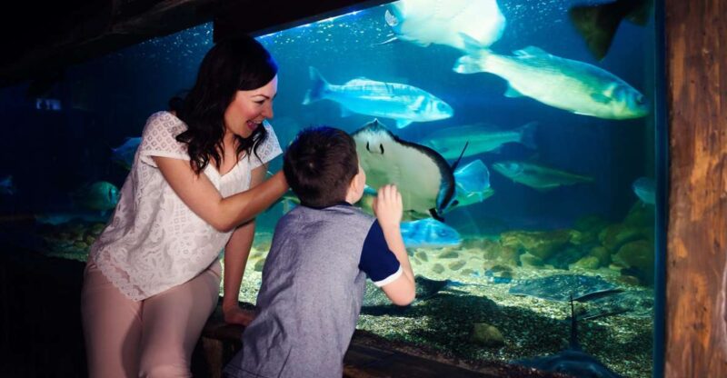 Manchester: SEA LIFE Entrance Ticket - Themed Zones and Exhibits