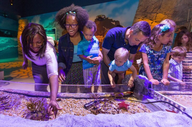 Manchester: SEA LIFE Entrance Ticket - Onsite Amenities