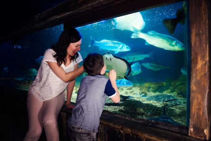 Manchester: SEA LIFE Entrance Ticket - Cancellation Policy