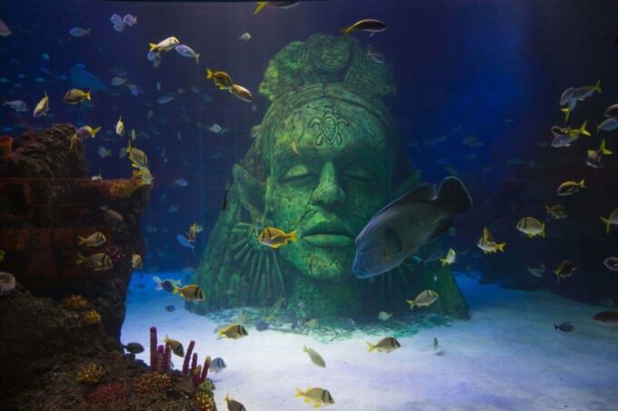 Manchester: SEA LIFE Entrance Ticket - Recap