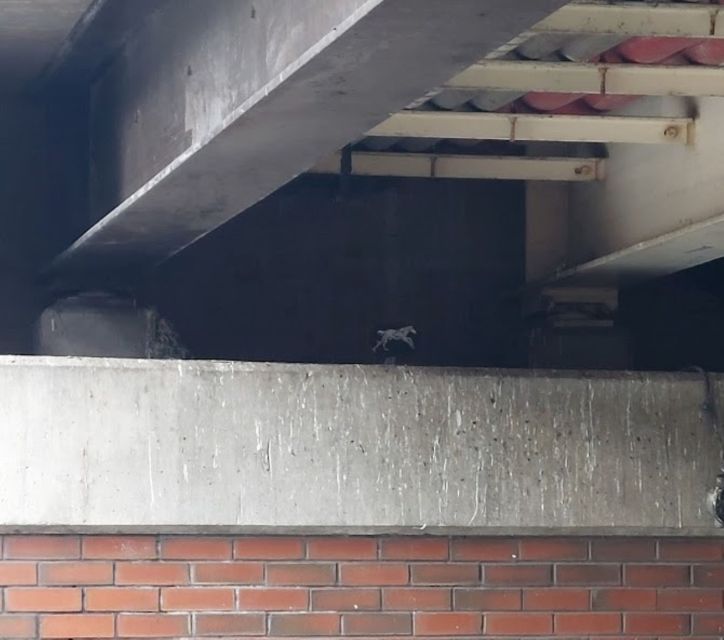 Manchester's Rebirth and Renewal: A Self Guided Audio Tour - Transformation From Industrial Relic