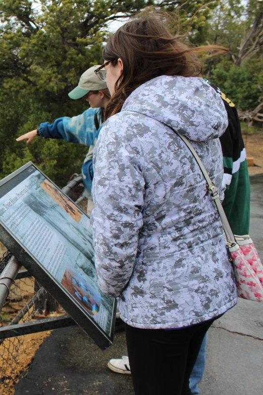 Mancos: Mesa Verde National Park Half-Day Tour - Important Information