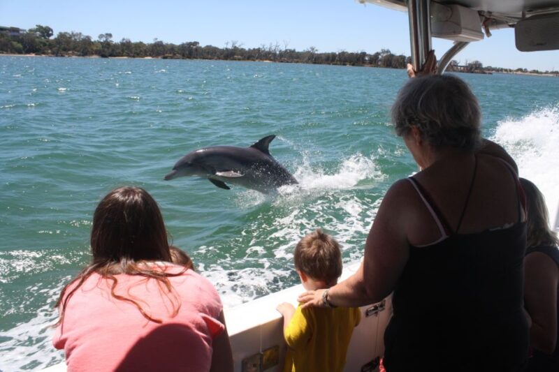 Mandurah: Dolphin and Views Cruise With Optional Lunch - Lunch Option