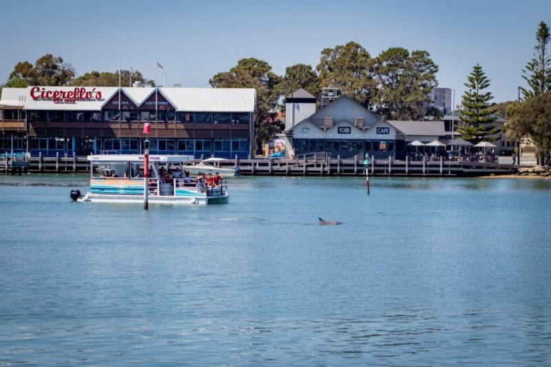 Mandurah: Sightseeing Dolphin Cruise With Tour Guide - Wildlife Sightings