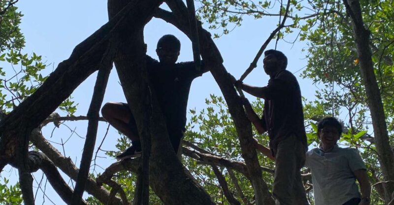 Mangrove Adventure in Bentota - Booking Information