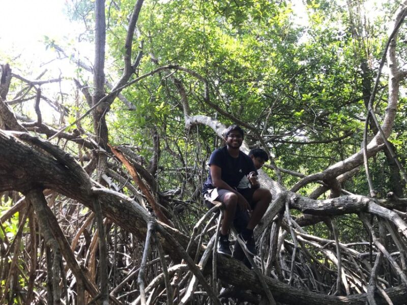 Mangrove Adventure in Bentota - Frequently Asked Questions