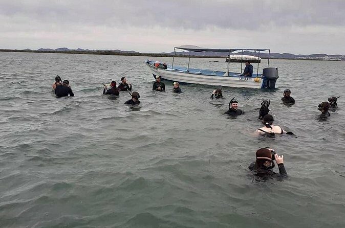 Mangrove Adventure with Snorkeling and Shellfish Tasting - The Sum Up