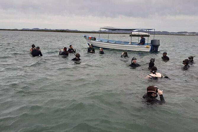 Mangrove Adventure with Snorkeling and Shellfish Tasting - FAQ
