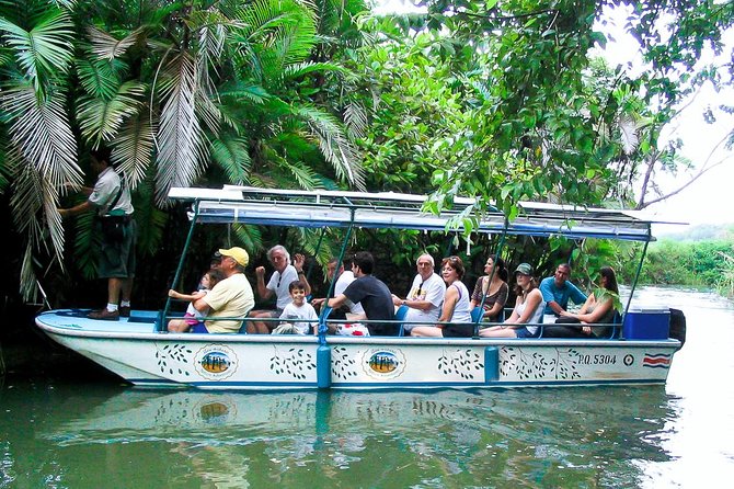 Mangrove Boat Tour Damas Island | Manuel Antonio - Wildlife and Nature Highlights