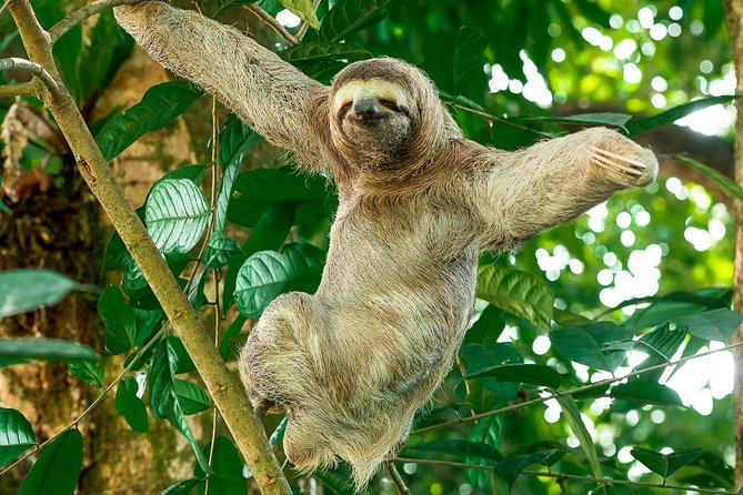 Mangrove Boat Tour Damas Island | Manuel Antonio - Guest Reviews and Feedback