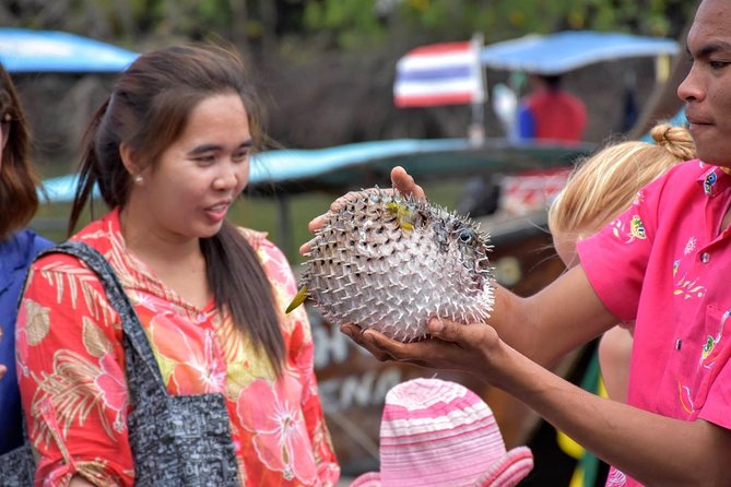 Mangrove Boat Tour in Krabi - Guest Reviews and Ratings