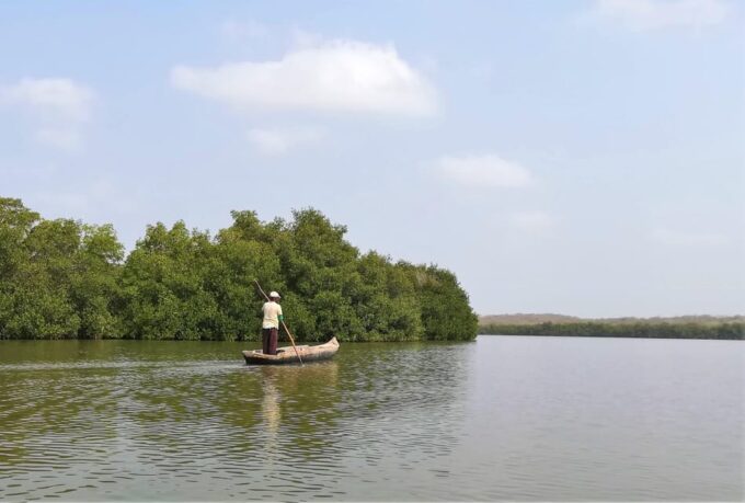 Mangrove Canoe Tour in La Boquilla German or Italian Guide - Cienaga De La Virgen and Cienaga De Juan Polo