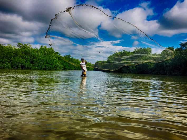 Mangrove Canoe Tour in La Boquilla German or Italian Guide - Key Points