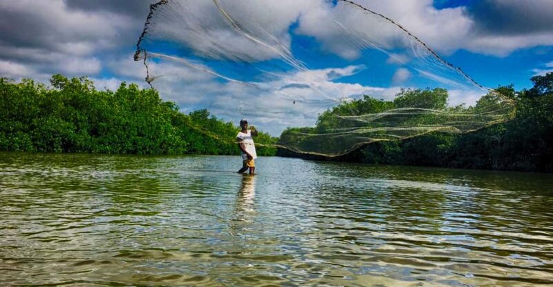 Mangrove Canoe Tour in La Boquilla German or Italian Guide - Itinerary and Experience