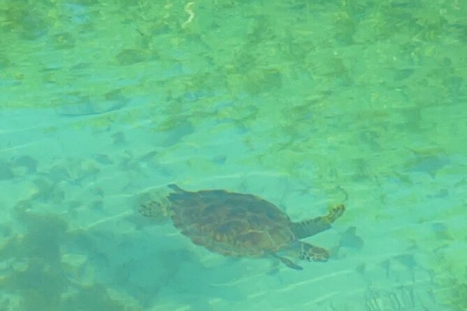 Mangrove Cay And Iguana Island Venture In Turks And Caicos Island - Traveler Feedback and Insights