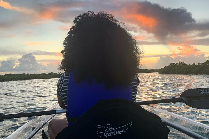 Mangrove Clear Kayak Tour - Kayak and Equipment Included