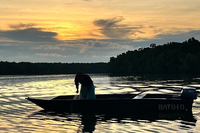 Mangrove Cruise With Fireflies Tour Including Dinner From Sandakan - Itinerary Highlights