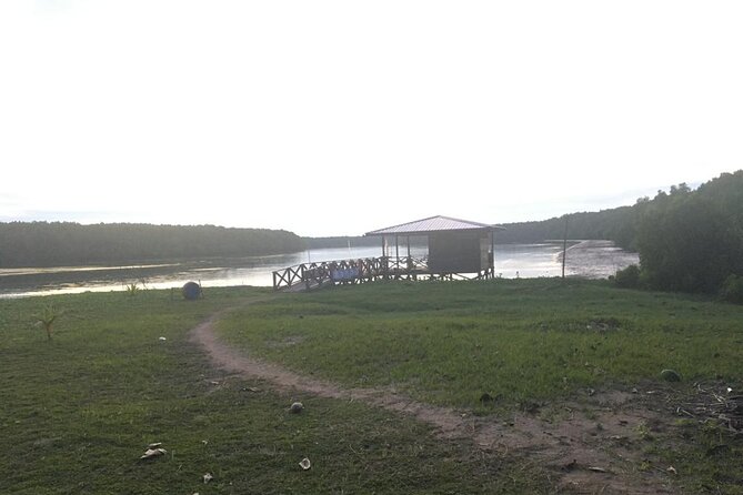 Mangrove Cruise With Fireflies Tour Including Dinner From Sandakan - Customer Feedback