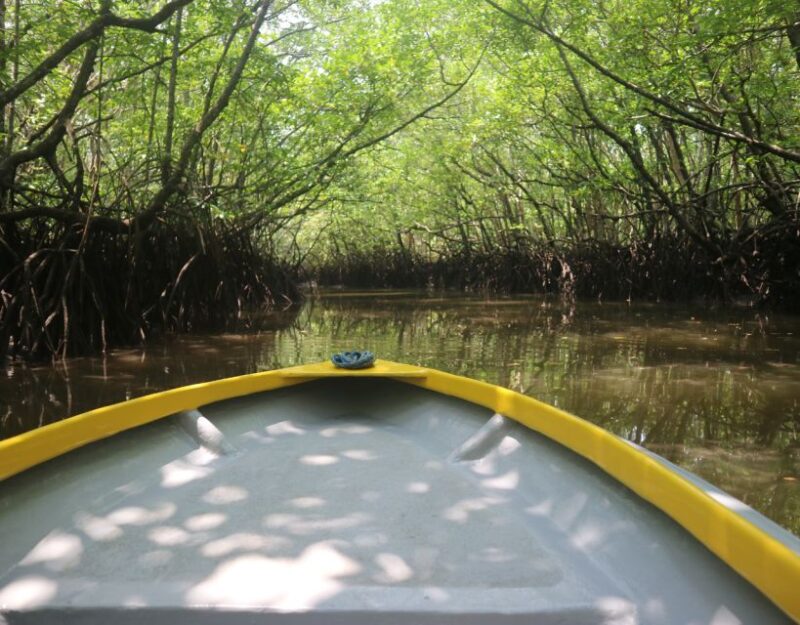 Mangrove Day Tour - Bintan - Activity Highlights