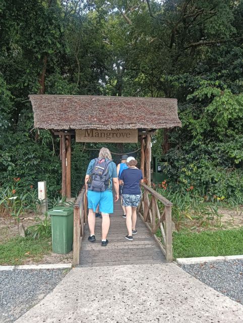 Mangrove Discovery Tour or Fireflies Tour - Key Points