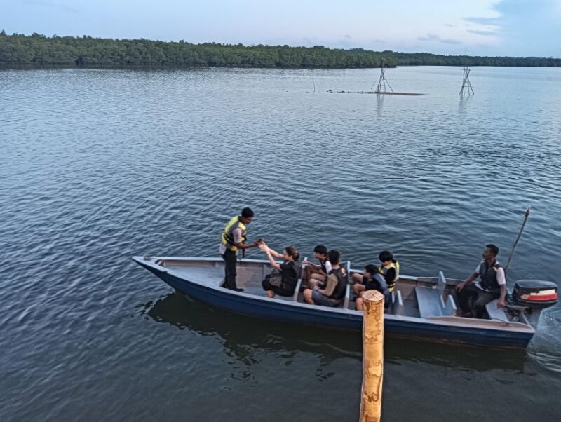 Mangrove Discovery Tour or Fireflies Tour - Fireflies Tour Highlights