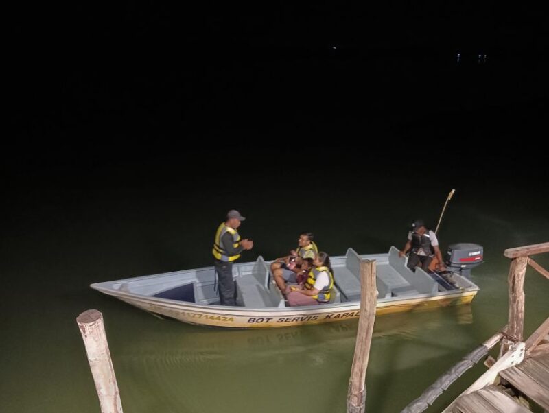 Mangrove Discovery Tour or Fireflies Tour - Marine Life Observation