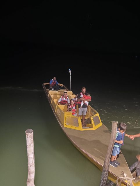 Mangrove Discovery Tour or Fireflies Tour - Guided Tour Experience