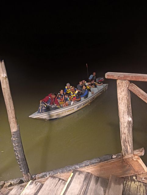Mangrove Discovery Tour or Fireflies Tour - Accessibility and Group Options