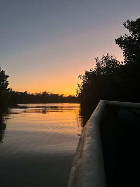 Mangrove Ecotour and Fishing in Cartagenas Natural Mangrove - Key Points