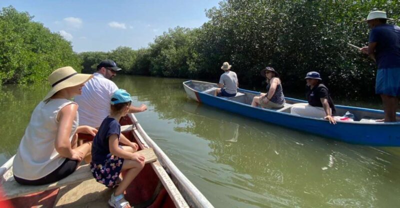 Mangrove Ecotour and Fishing in Cartagenas Natural Mangrove - Ecological Importance of Mangroves