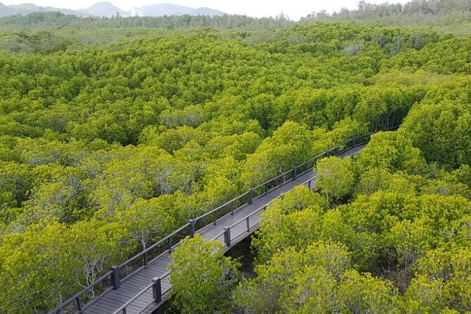 Mangrove Forest Hike and River Boat Ride With Private Guide From Hua Hin - Included Amenities