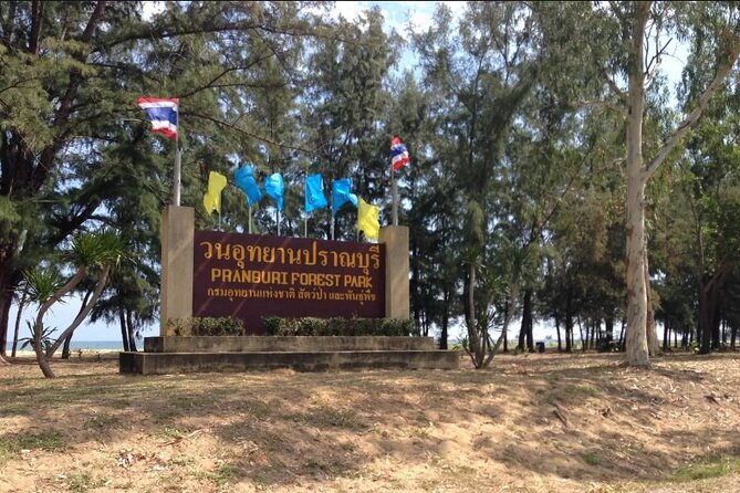 Mangrove Forest Hike and River Boat Ride With Private Guide From Hua Hin - Positive Customer Feedback