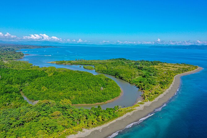 Mangrove Forest Kayak Exploration - Guidance and Accessibility