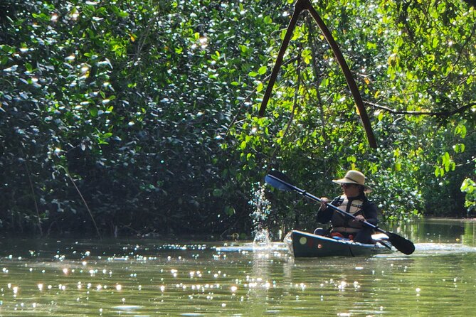 Mangrove Forest Kayak Exploration - Meeting Point and Departure